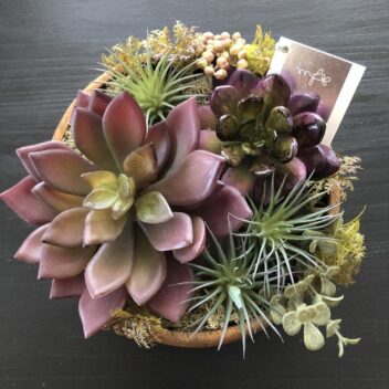 多肉植物の寄せ植えアレンジ