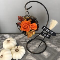 【季節のしつらえ：ハロウィン・ライブレッスン】かぼちゃのワイヤーアレンジを作ろう